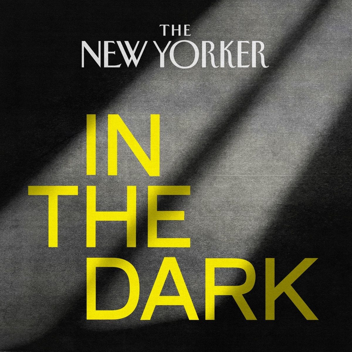 In The Dark (The New Yorker)
