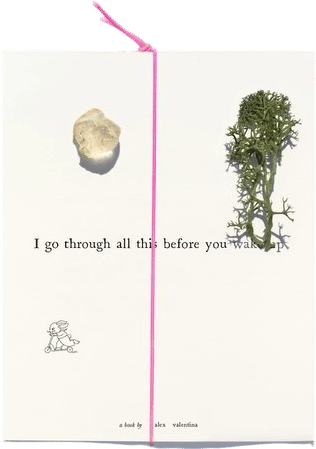 I go through all this before you wake up — Alex Valentina