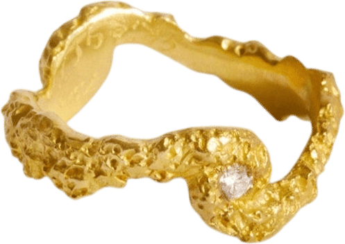 Double Cosmos Ring