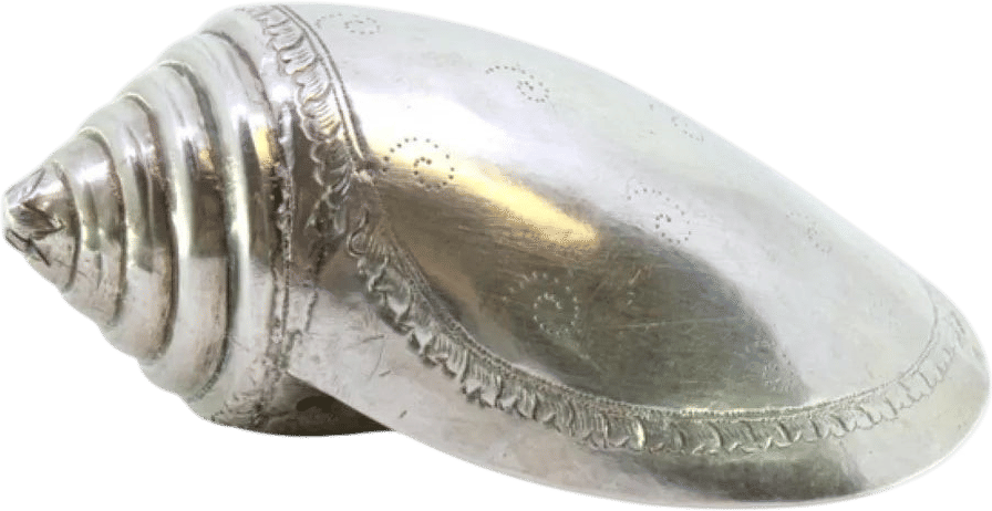 engraved silver conch shell