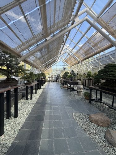 Brooklyn Botanical (Bonsai Room)