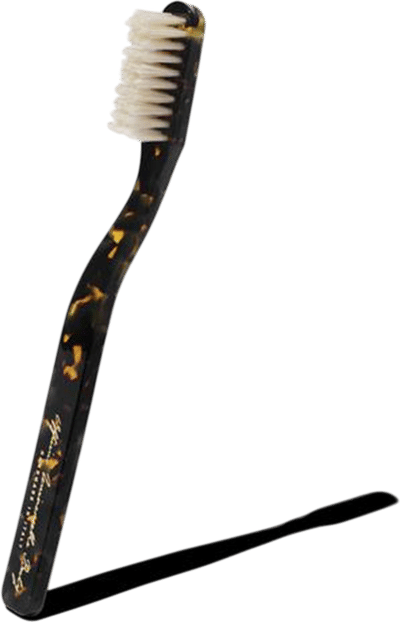 Hard Bristle Toothbrush