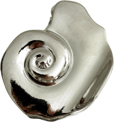 Swirl Shell Claw Clip