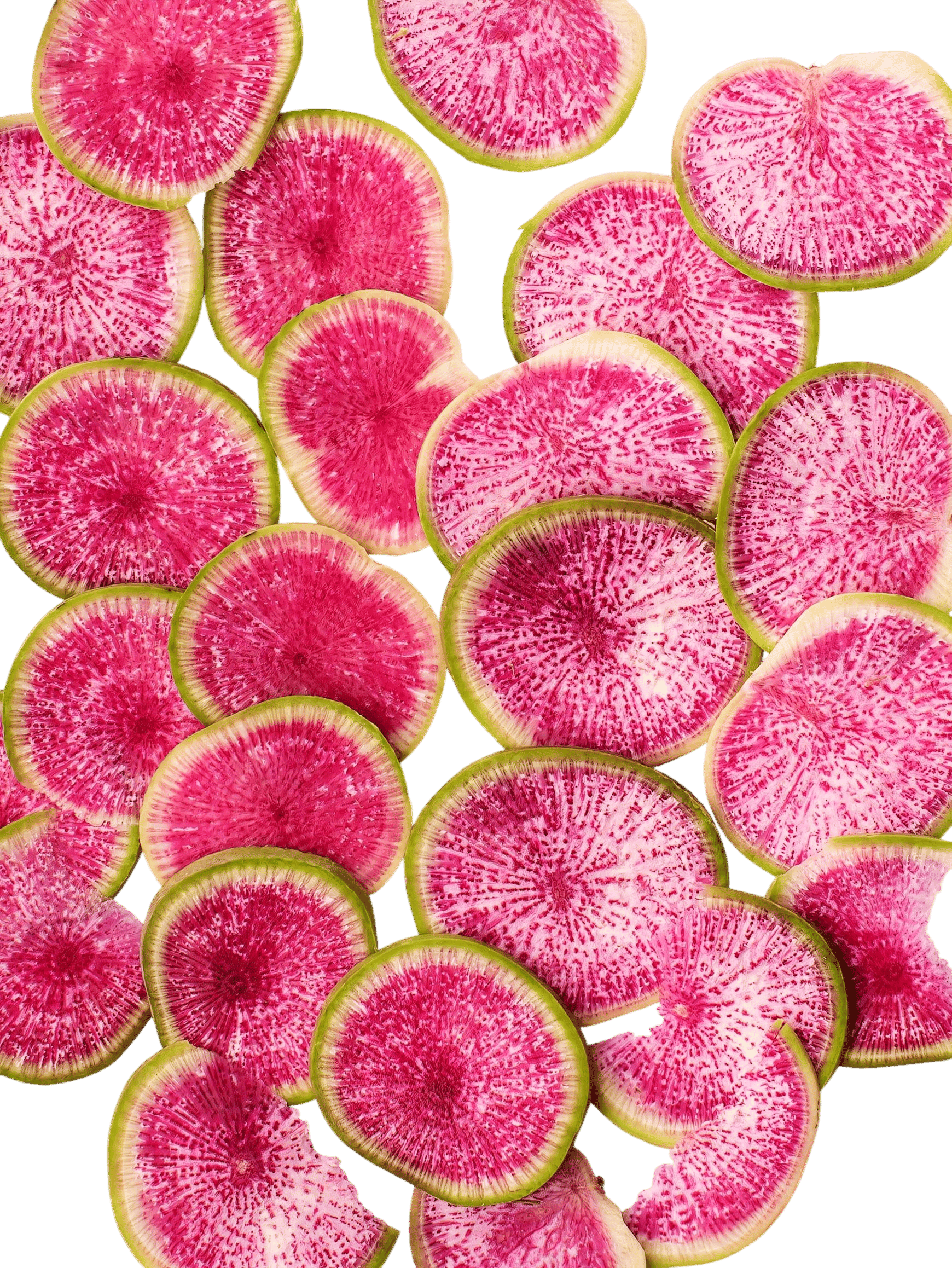 Watermelon radish