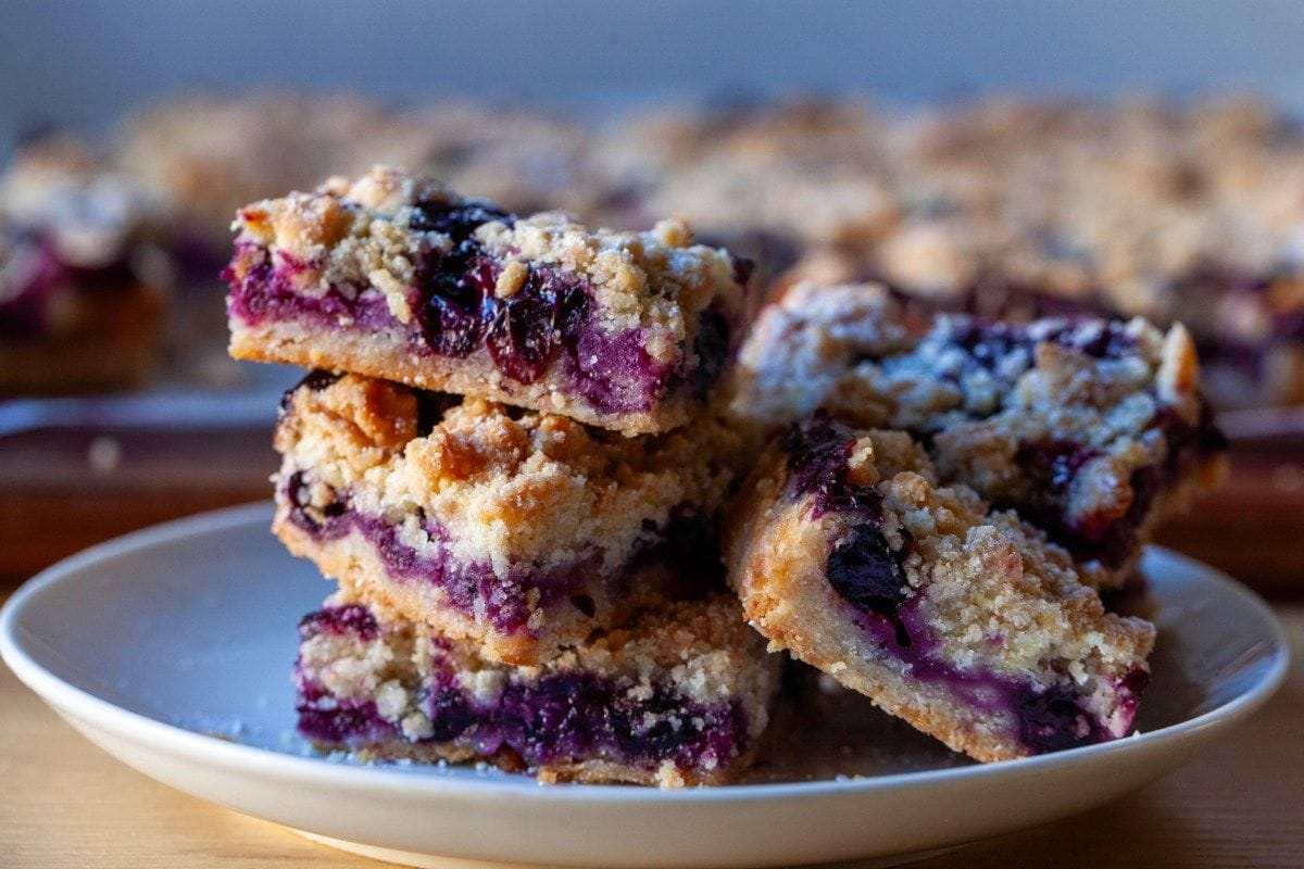 Blueberry Crumb Bars Recipe