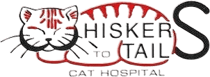 Whiskers to Tails Cat Hospital