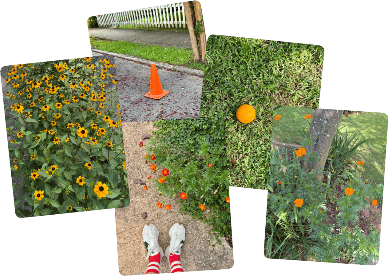 color walks