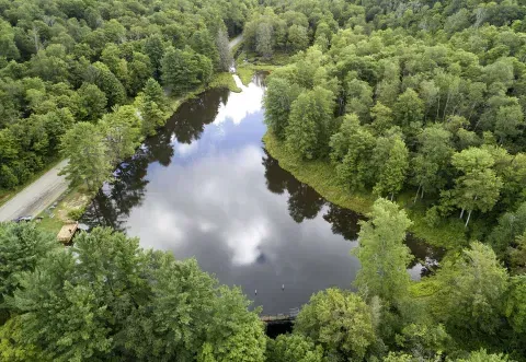 allegany state park