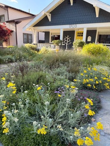 Make your front yard wild.