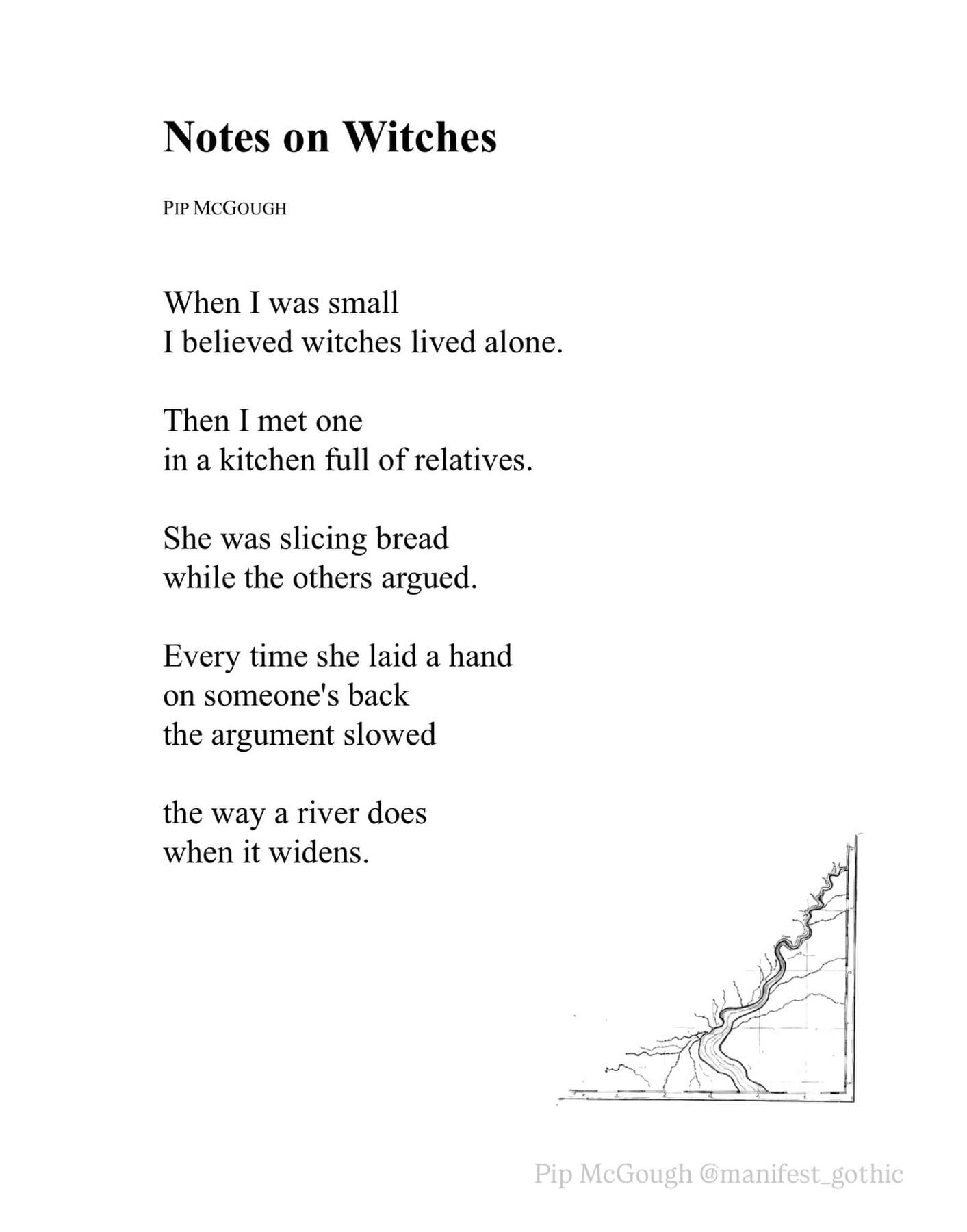Notes on Witches (Pip McGough)