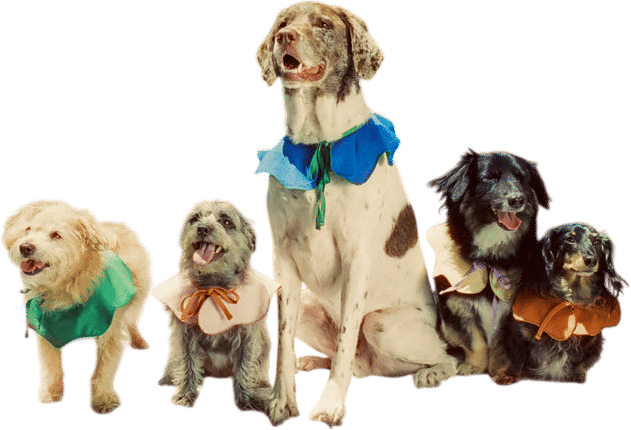 Fren Goods