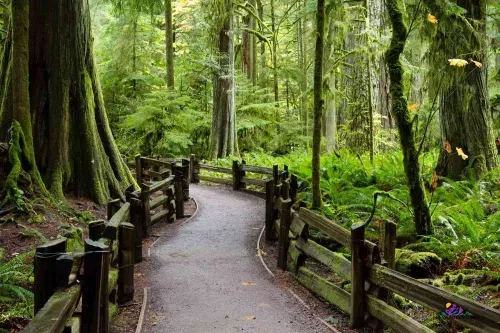 Vancouver Island