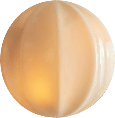 Agnes Clamshell Sconce