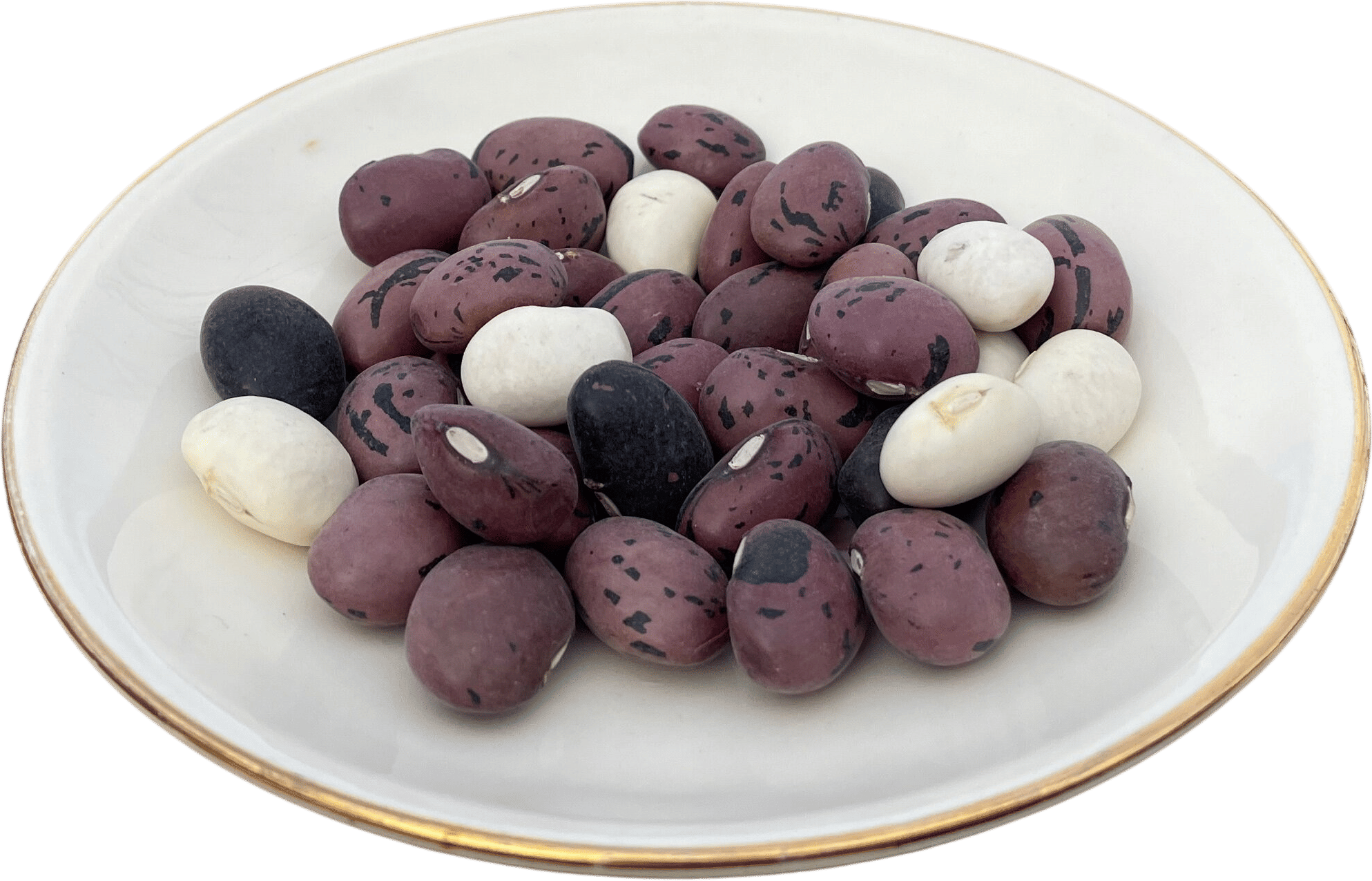 Wiinuuch Beans