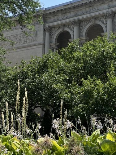 Gardens at the Art Institute of Chicago