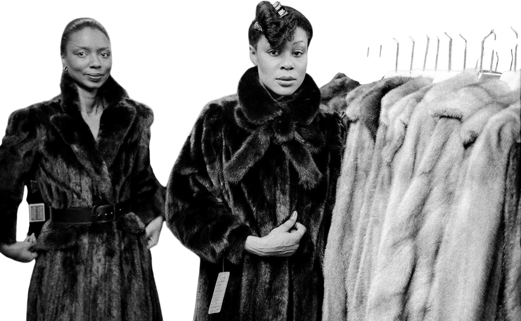 A Black Legacy, Wrapped Up in Fur
