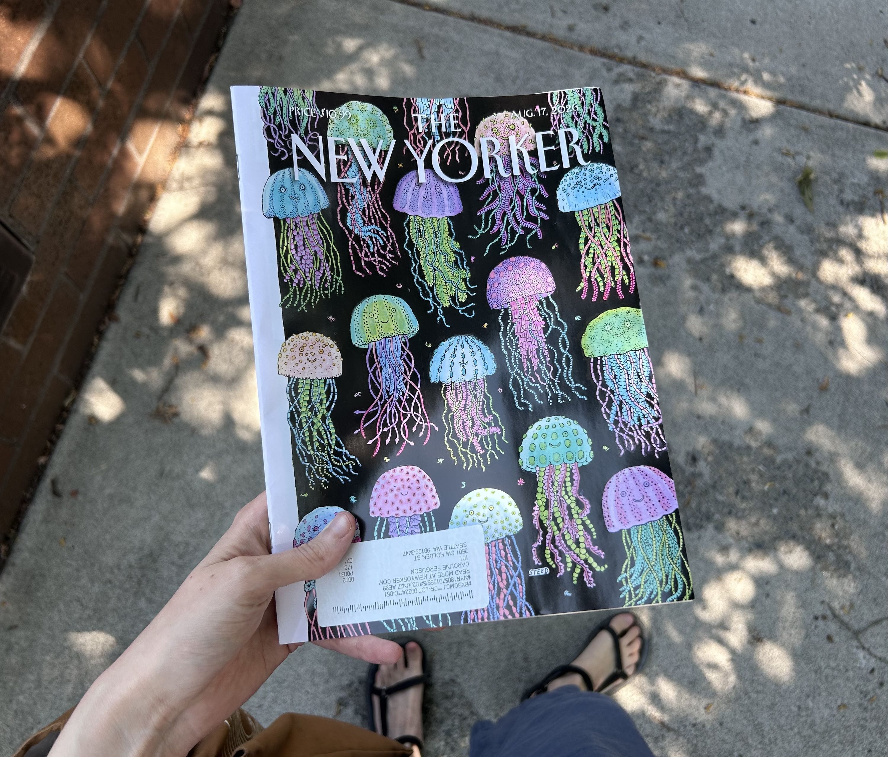 Subscribing to physical periodicals