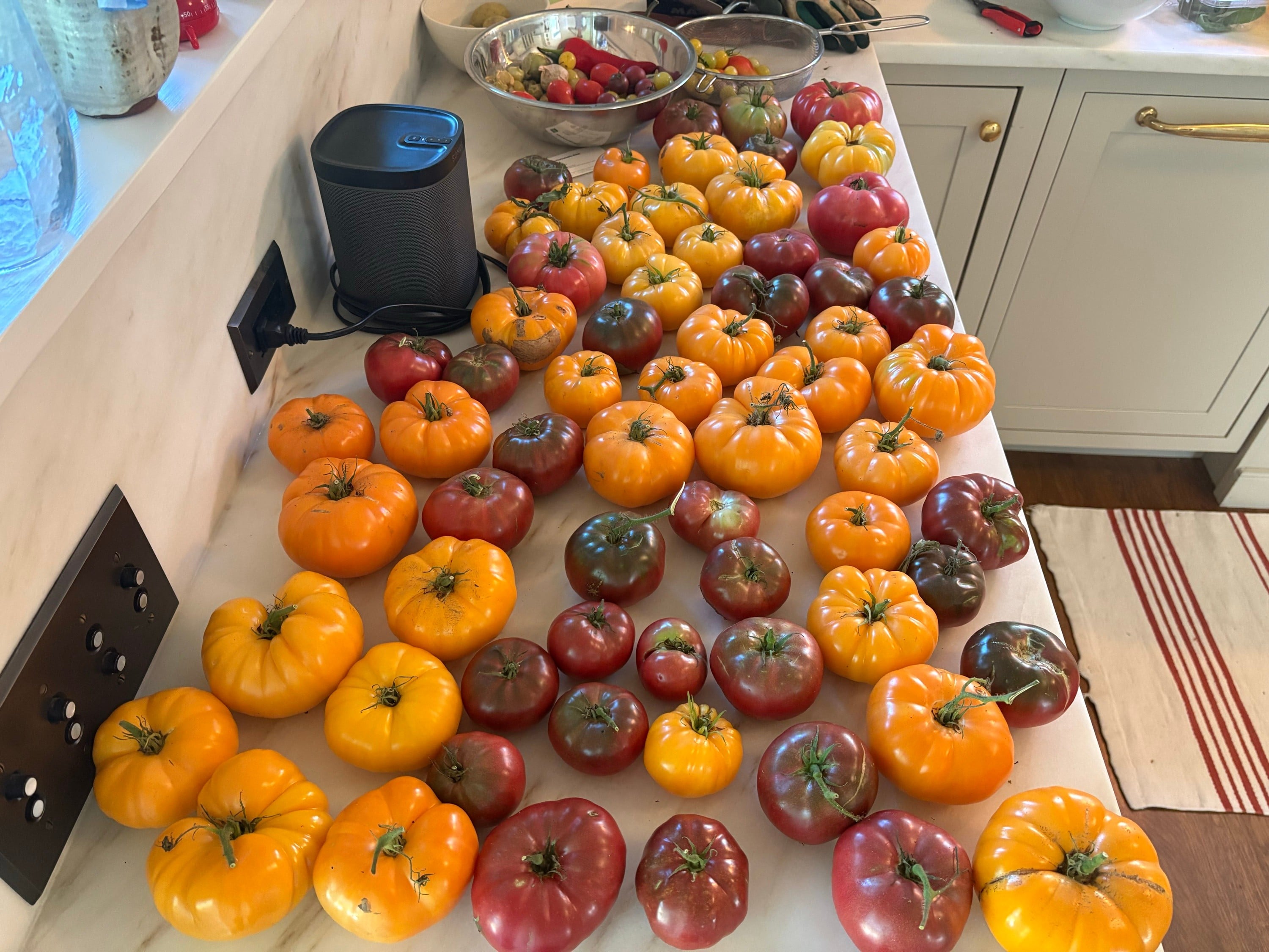 ‘Oma’s Orange’ Tomato