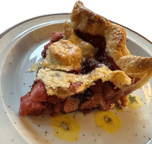 Blueberry rhubarb pie