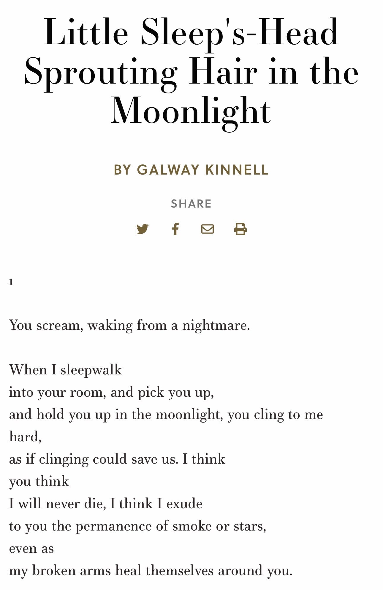 Little Sleep's-Head Sprouting Hair in the Moonlight