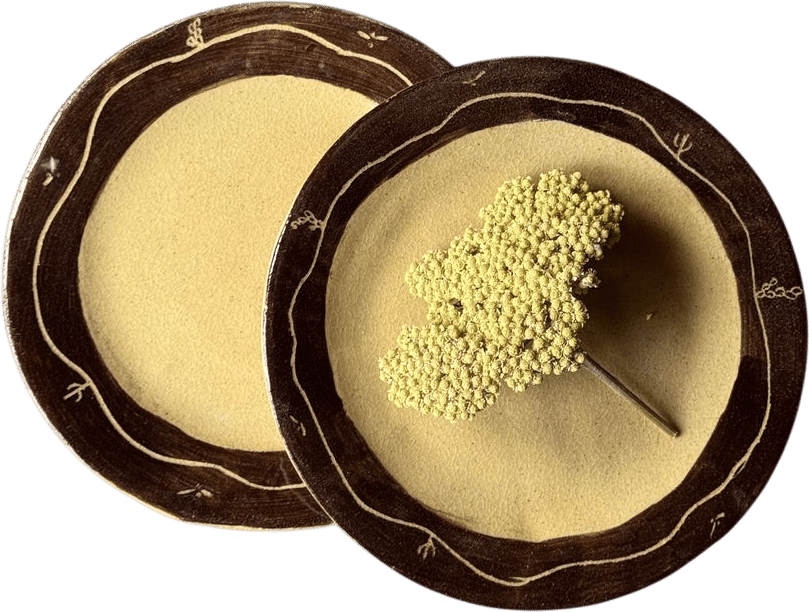 Desert Medium Dinner Plate