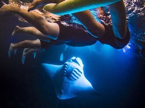 Manta Ray Night Snorkel - Big Island Hawaii