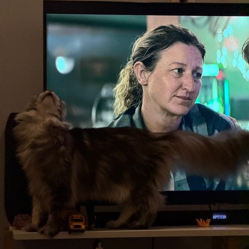 Watch This Again And Again