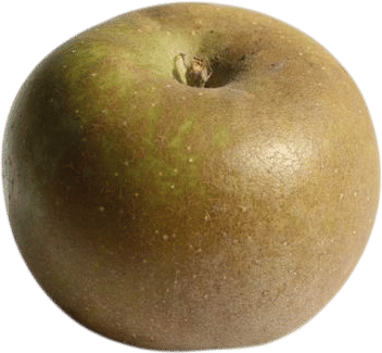 Russet apples