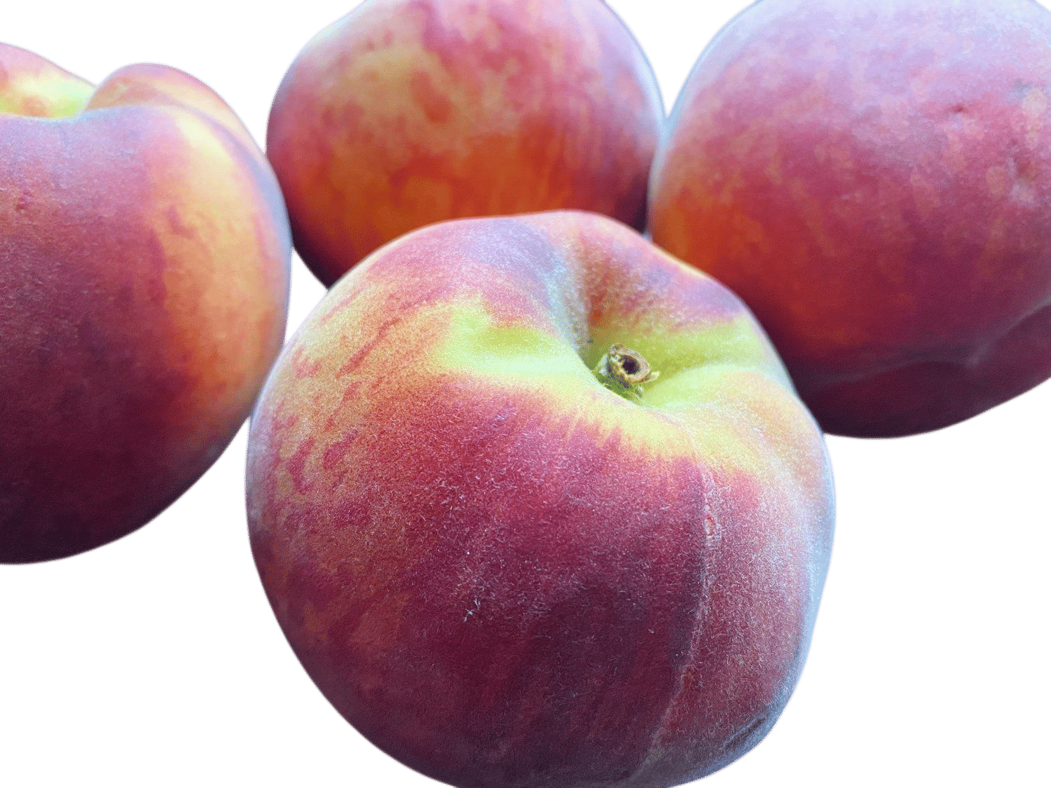 Stone Fruit Season