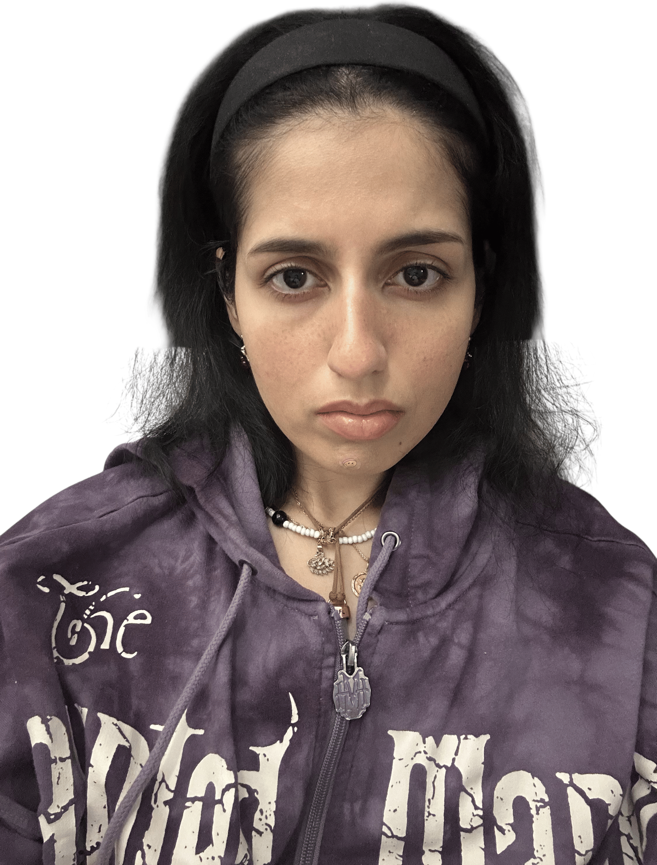 disneyland haunted mansion hoodie