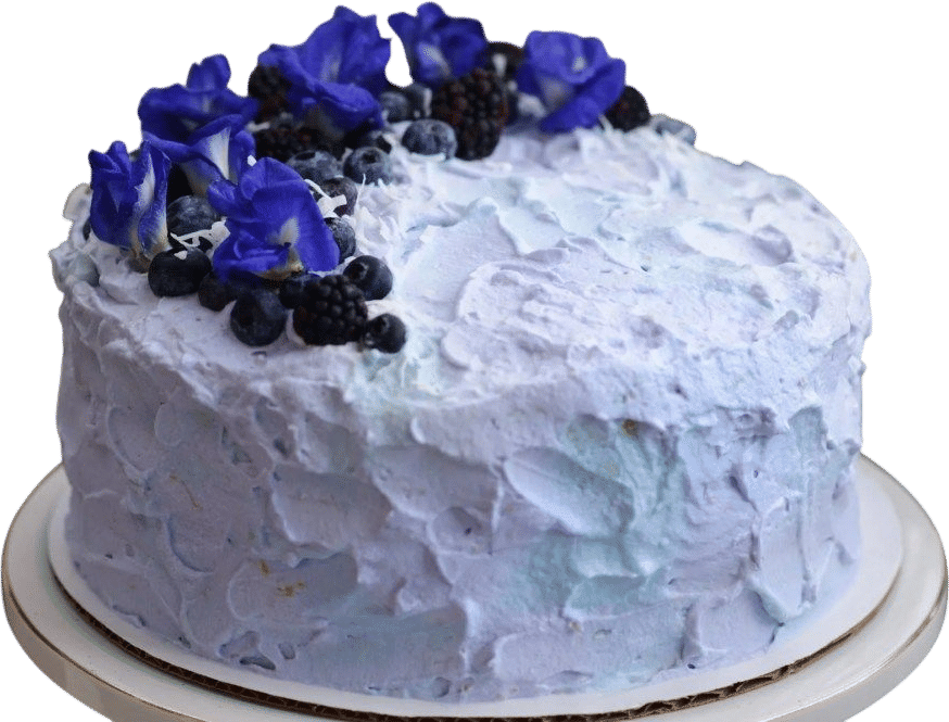 Butterfly Pea Flower Cake Recipe