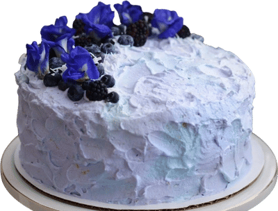 Butterfly Pea Flower Cake Recipe