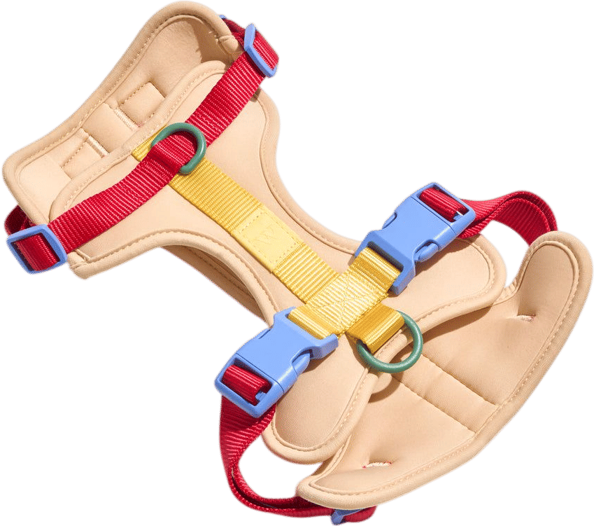 Wild One Dog Harness
