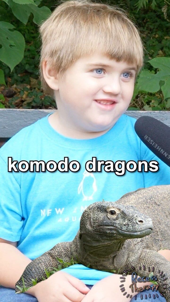 Recess Therapy / Dylan and Komodo Dragons
