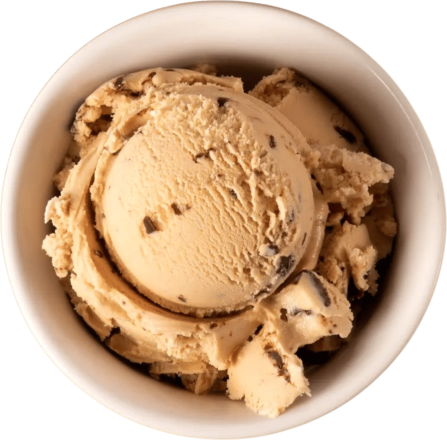 Mocha Chip Ice Cream
