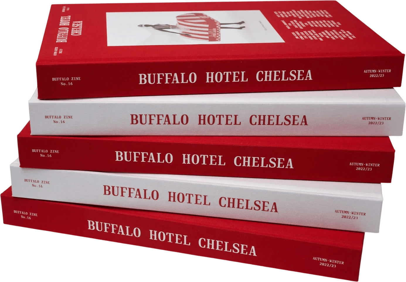 Buffalo Hotel Chelsea