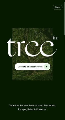 tree.fm – Tune Into Forests