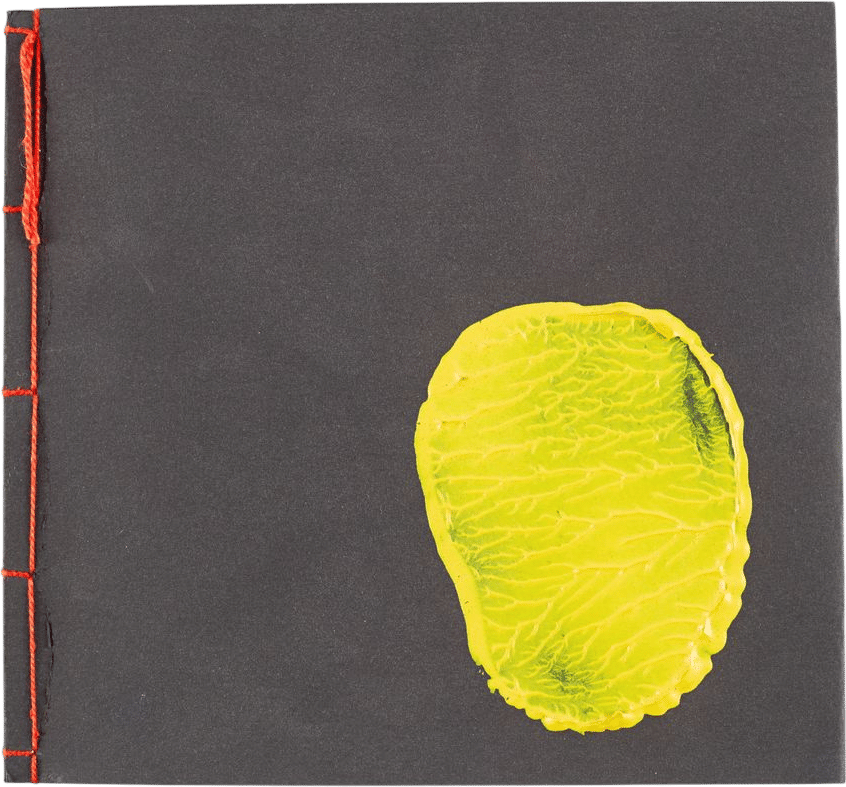 Bruce Mclean (British b.1944-) Home Manoeuvres, Artist's Book, 1987