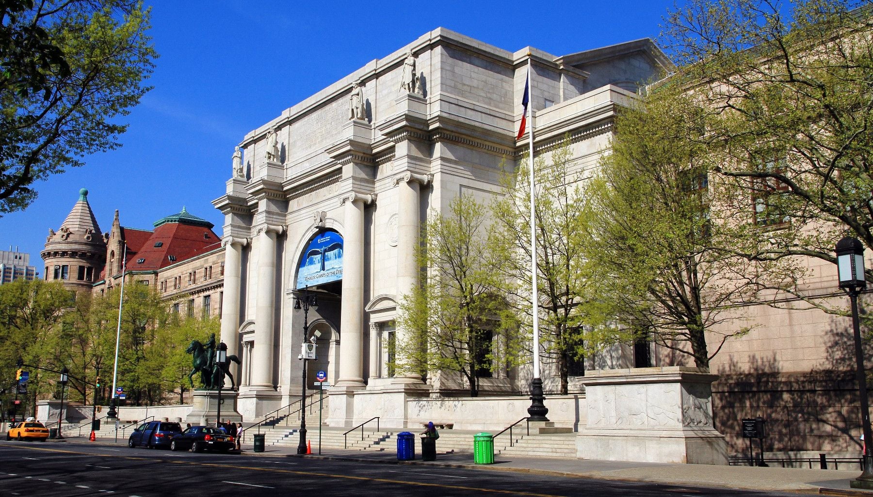 museum of natural history!