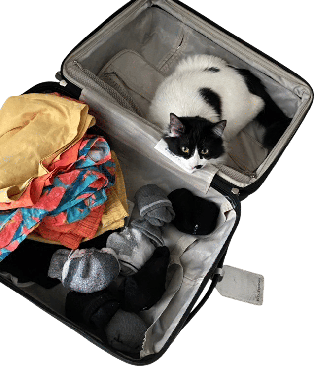 Boring but necessary things I bring on vacation