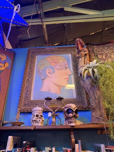 Kudzu Antiques + Modern