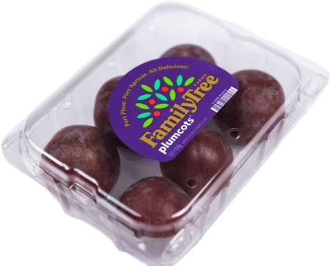 Plumcot (alt. title courtesy of my phone’s autocorrect : plum boy)