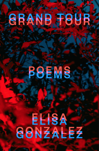 After My Brother’s Death, I Reflect on the Iliad (Elisa Gonzalez)