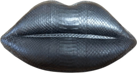 Snakeskin Lip Clutch/Bag 