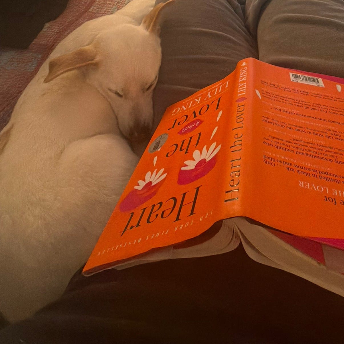 my favorite books of 2026