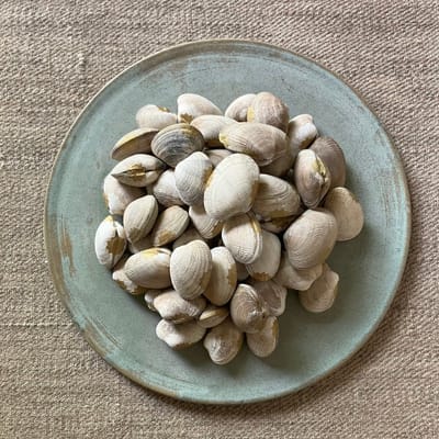 Real Clamshell Surprise Balls