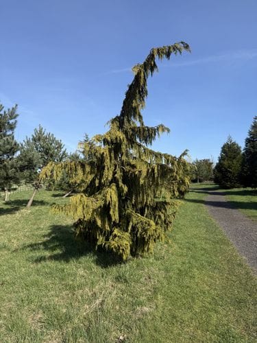 Jupiter Artland