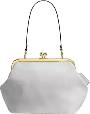 Coach Kisslock Frame Bag 27 In Loved Leather