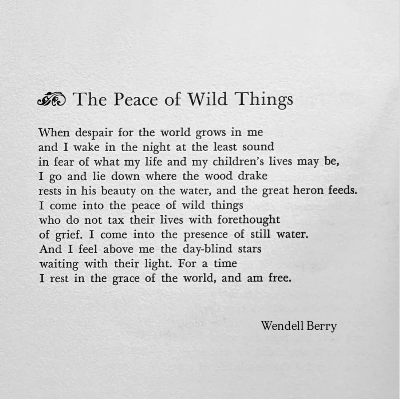 The Peace of Wild Things