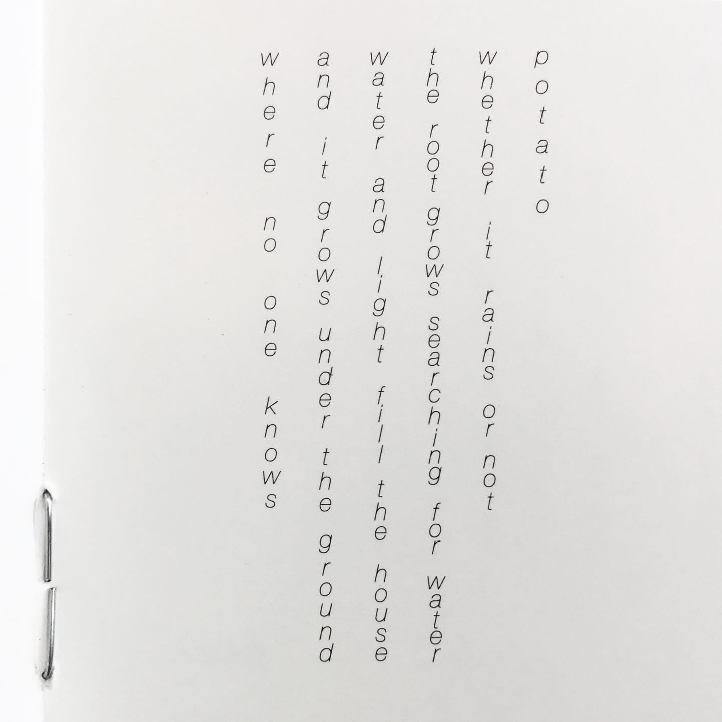 Reiko Kudo, Potato (2006)